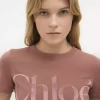 コットンジャージーのフィットTシャツ